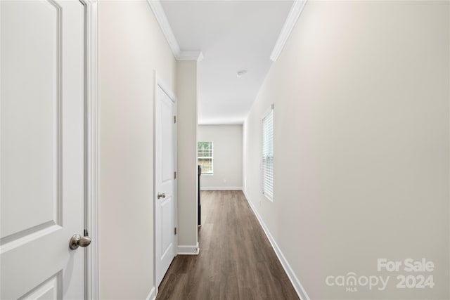 corridor with dark hardwood / wood-style floors and crown molding