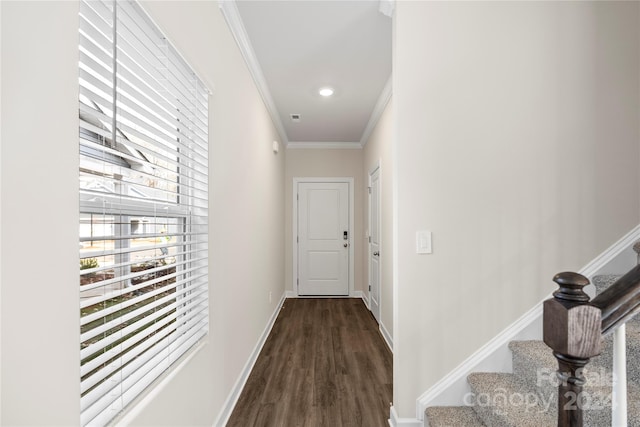 corridor featuring dark hardwood / wood-style floors and crown molding