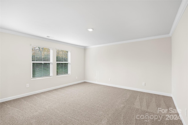 spare room with carpet flooring and ornamental molding