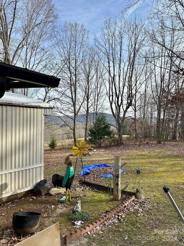 view of yard with a mountain view and a storage unit