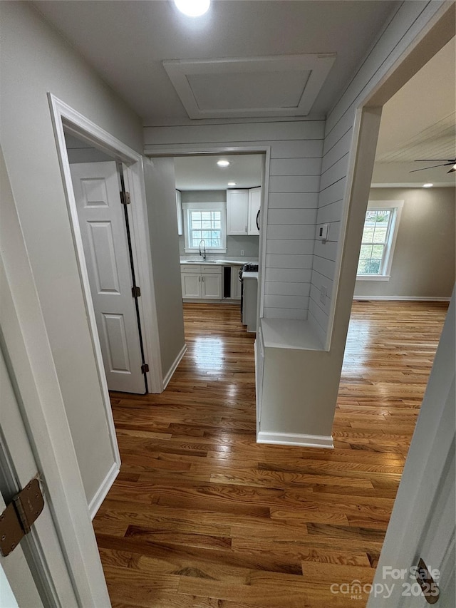 corridor featuring dark hardwood / wood-style floors and sink