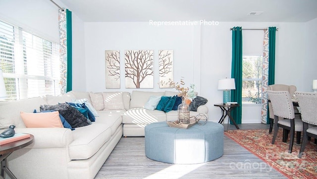 living room featuring hardwood / wood-style floors