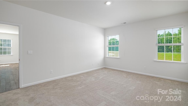 empty room with a healthy amount of sunlight and light carpet