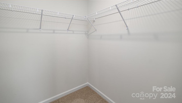 spacious closet featuring carpet floors