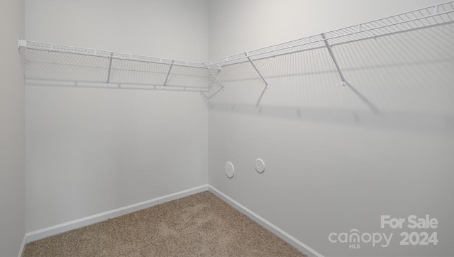 spacious closet featuring carpet flooring