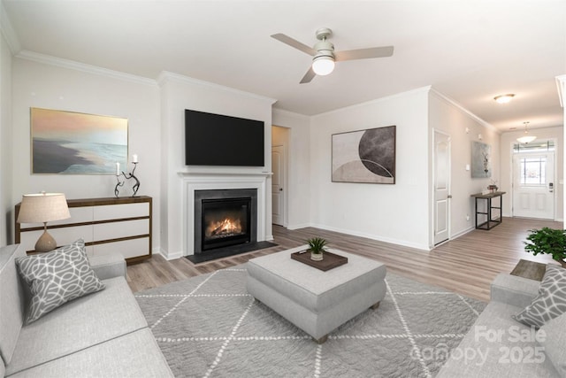 living room featuring ceiling fan, ornamental molding, and hardwood / wood-style flooring