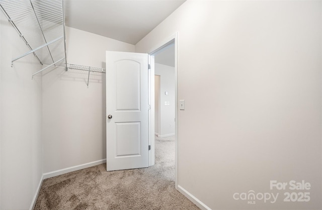 spacious closet featuring light carpet