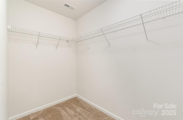 walk in closet featuring carpet