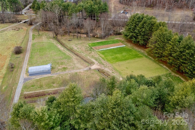 9675 Montford Cove Rd, Marion, NC 28752 - photo 10