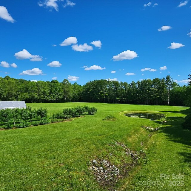 9675 Montford Cove Rd, Marion, NC 28752 - photo 13