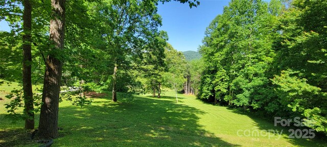 9675 Montford Cove Rd, Marion, NC 28752 - photo 37