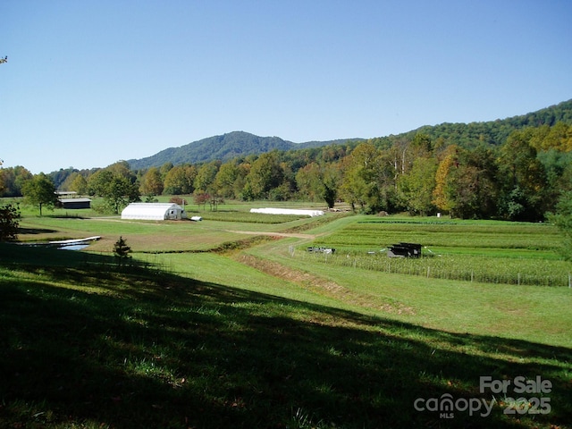 9675 Montford Cove Rd, Marion, NC 28752 - photo 8