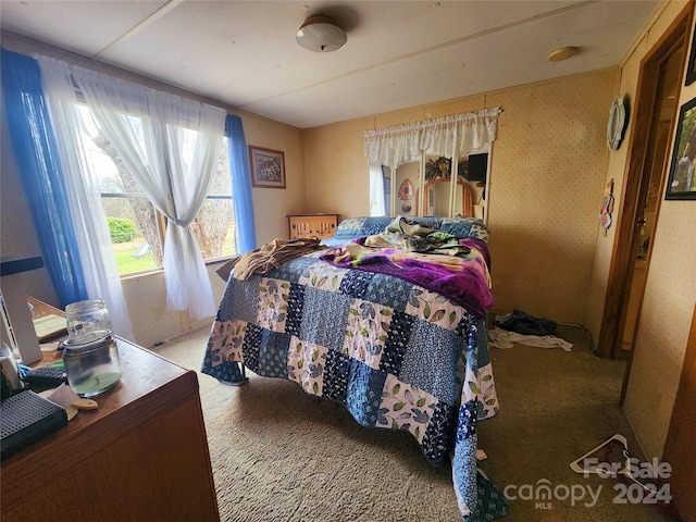 bedroom with carpet floors