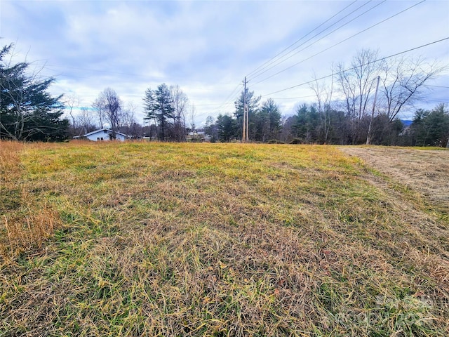 view of yard with a rural view