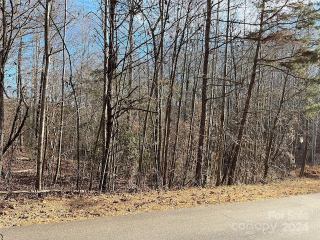 106 Kiowa Ct Unit 42, Statesville NC, 28677 land for sale