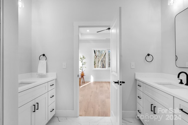 bathroom with vanity and wood-type flooring