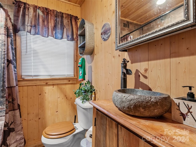 bathroom featuring vanity, toilet, wood ceiling, and wooden walls