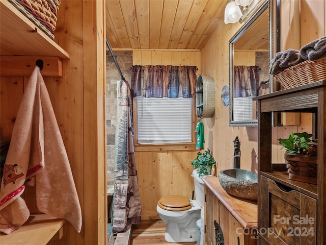 bathroom with vanity, wooden walls, wooden ceiling, hardwood / wood-style floors, and toilet