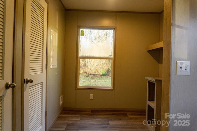 washroom featuring a healthy amount of sunlight and dark hardwood / wood-style flooring