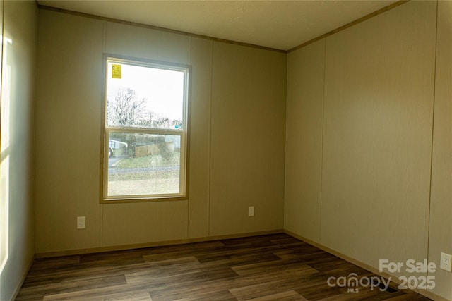 spare room with dark wood-type flooring