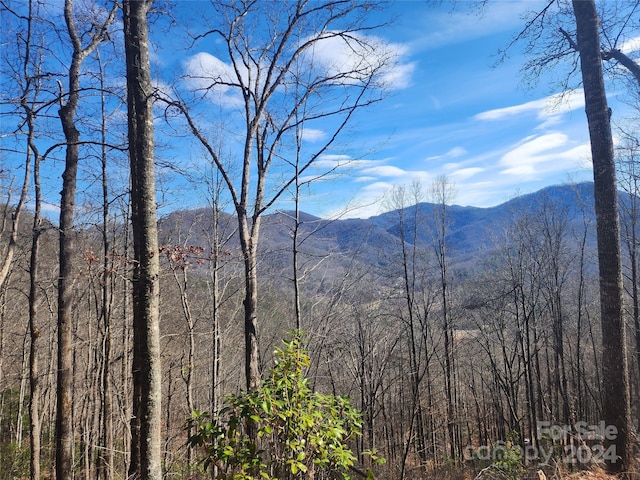 0001 Long Winding Rd, Sylva NC, 28779 land for sale