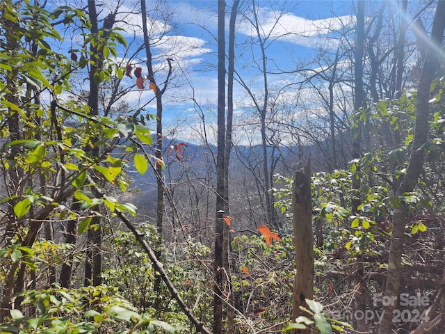 Listing photo 2 for 0001 Long Winding Rd, Sylva NC 28779