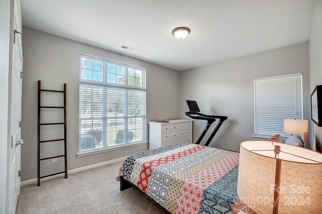 bedroom with light colored carpet