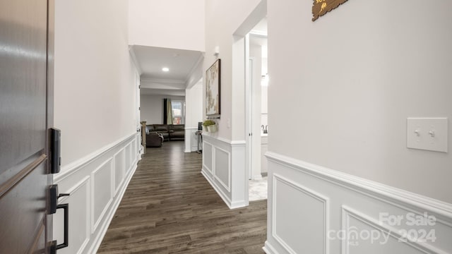 hall featuring dark wood-type flooring and ornamental molding