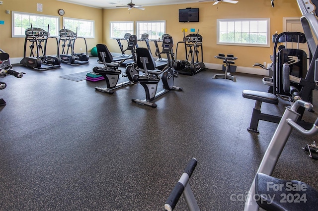 gym with ceiling fan, plenty of natural light, and ornamental molding