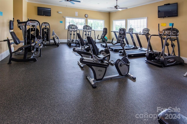 workout area featuring crown molding and ceiling fan