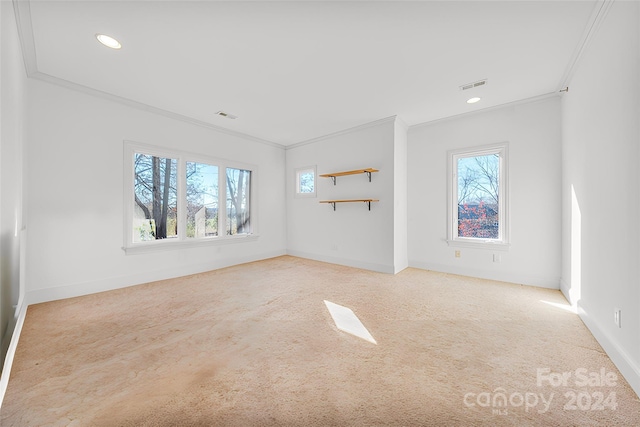 unfurnished room with plenty of natural light and ornamental molding