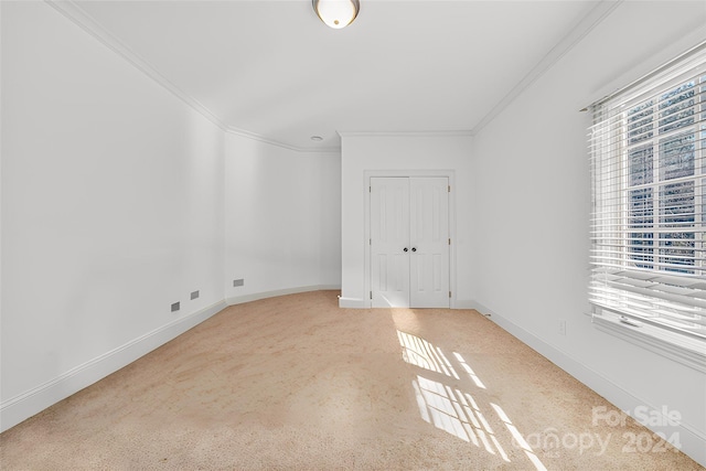 interior space with carpet flooring and crown molding