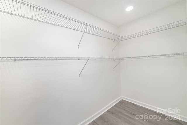 spacious closet featuring wood-type flooring