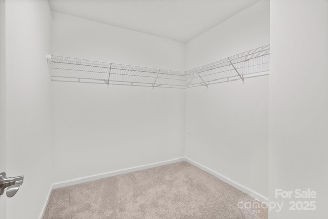 walk in closet with carpet