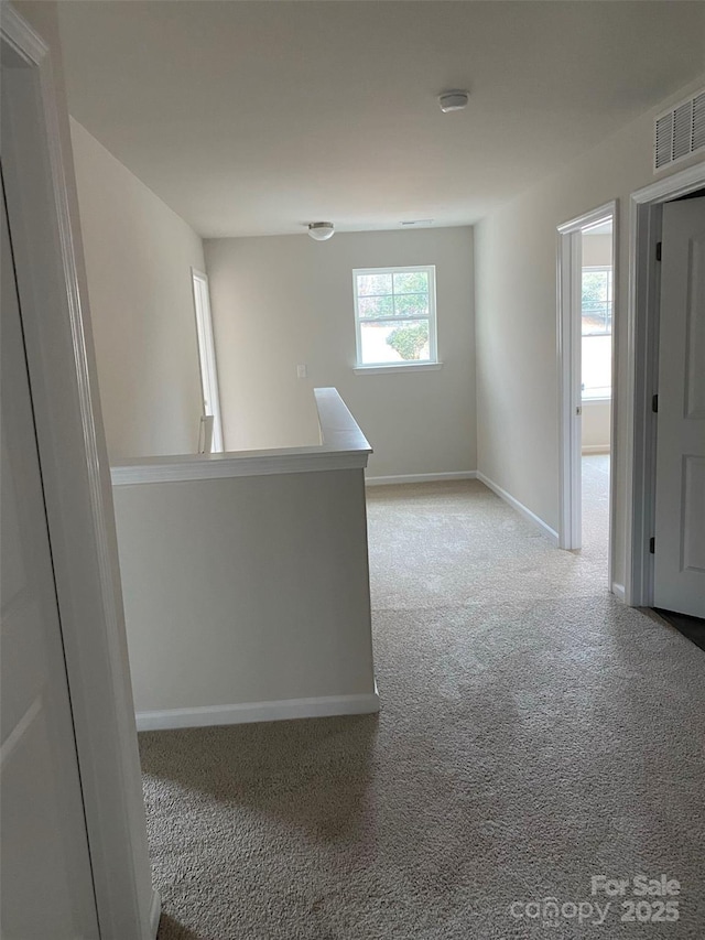 unfurnished room with carpet flooring