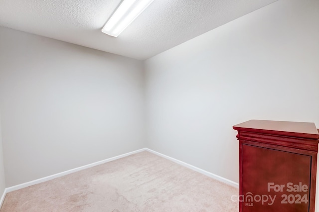 spare room featuring light colored carpet and a textured ceiling