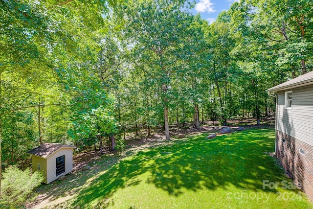 view of yard featuring a shed