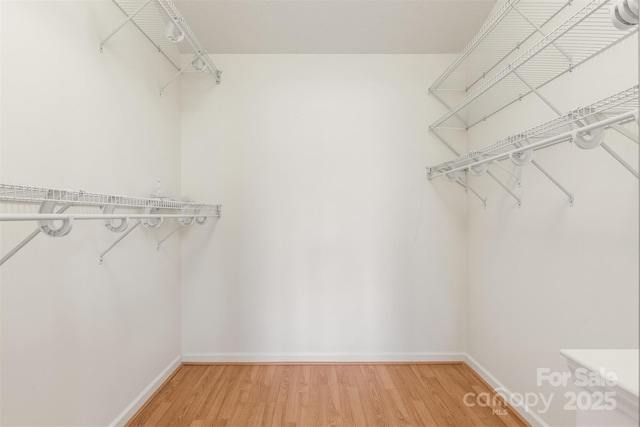 walk in closet featuring hardwood / wood-style flooring