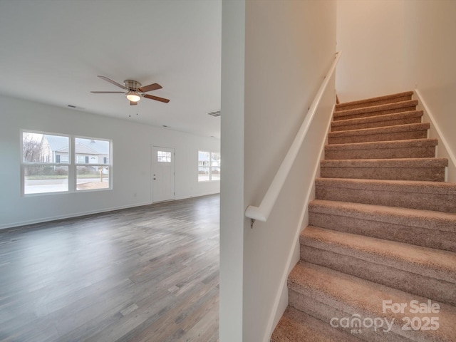 staircase featuring ceiling fan and hardwood / wood-style flooring