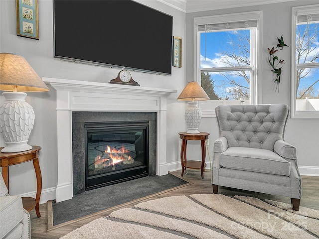 living area with crown molding and wood-type flooring