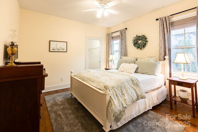 bedroom featuring a walk in closet, a closet, ceiling fan, and dark wood-type flooring