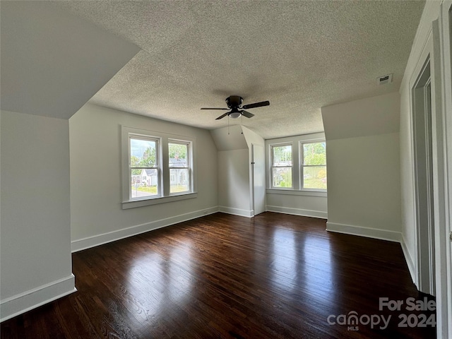 interior space with dark hardwood / wood-style flooring, lofted ceiling, a textured ceiling, and a wealth of natural light