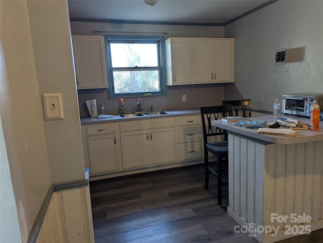 kitchen with white cabinetry, sink, crown molding, and dark hardwood / wood-style floors