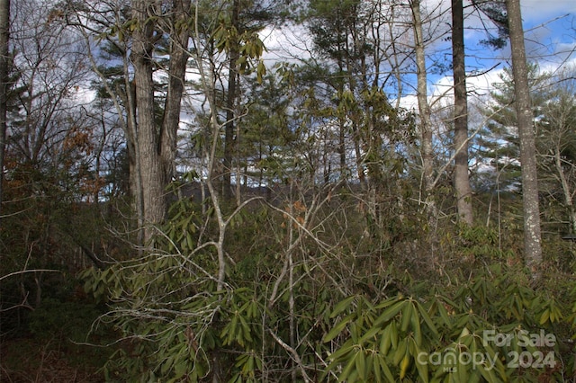 Listing photo 3 for 30 Hawberry Ct Unit 67, Asheville NC 28805