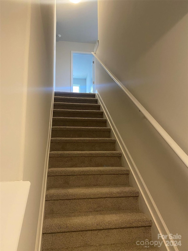 stairs with carpet flooring