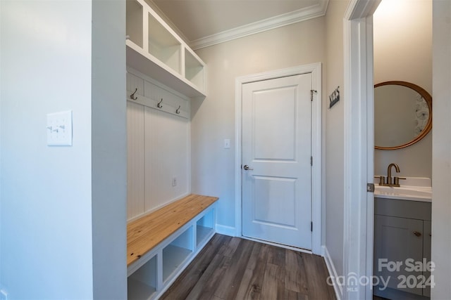 mudroom featuring crown molding, sink, and dark wood-type flooring