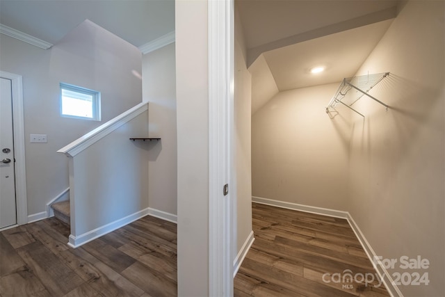 interior space featuring dark hardwood / wood-style floors