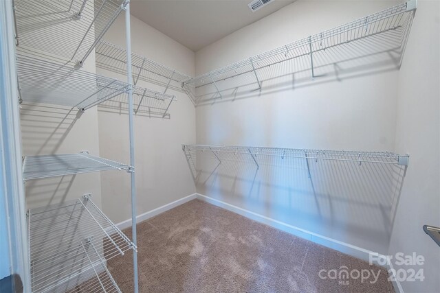 walk in closet featuring carpet flooring