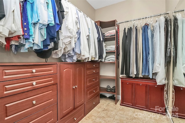 view of spacious closet