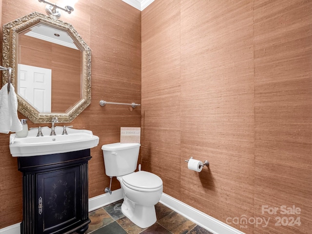 bathroom featuring vanity, toilet, and crown molding